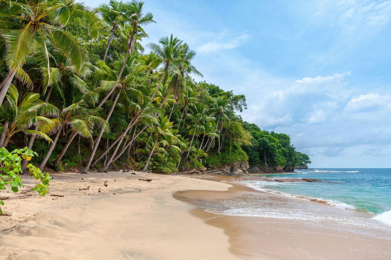 Untouched white sand beach
