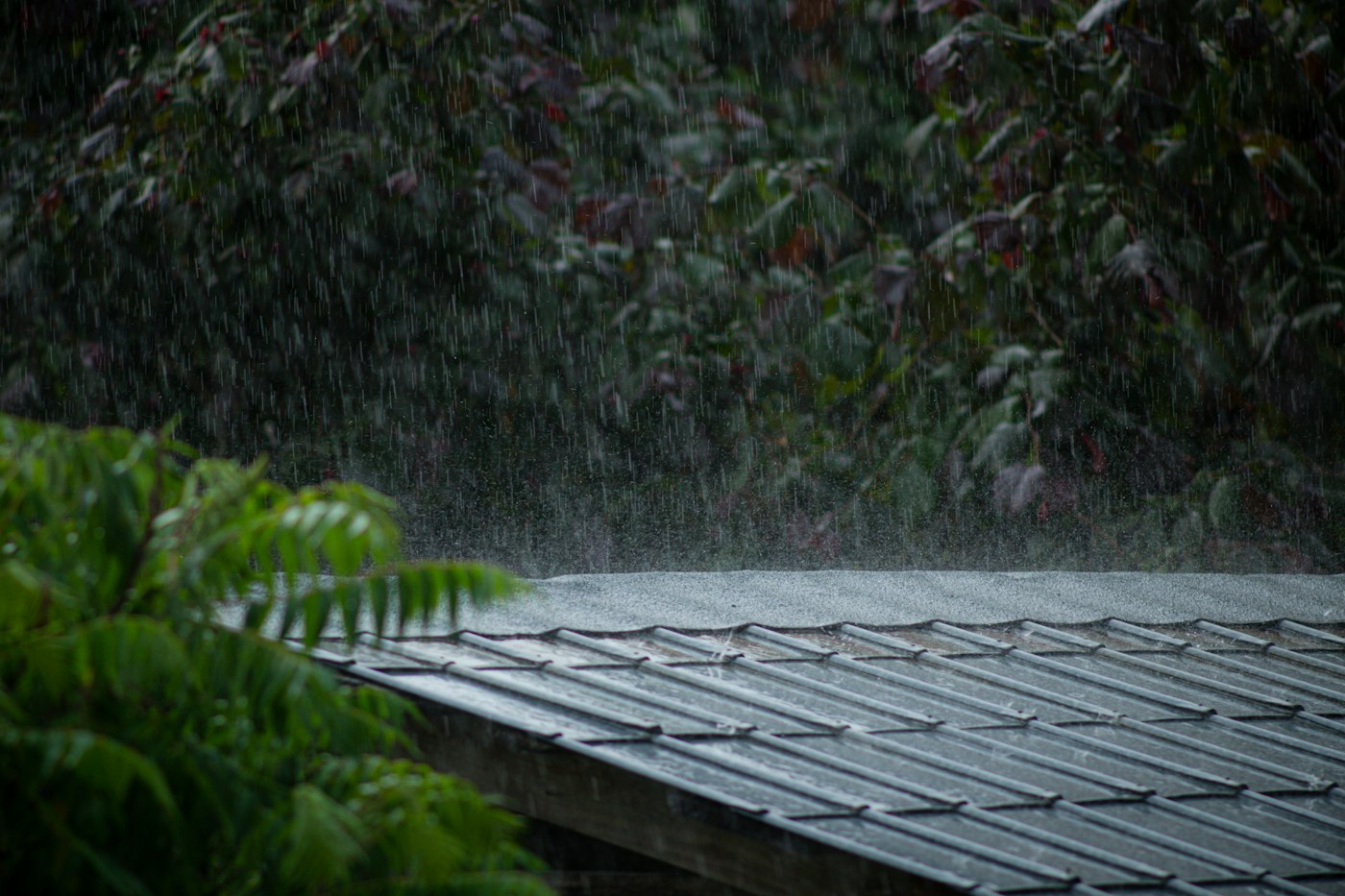 Rain falling on a roof