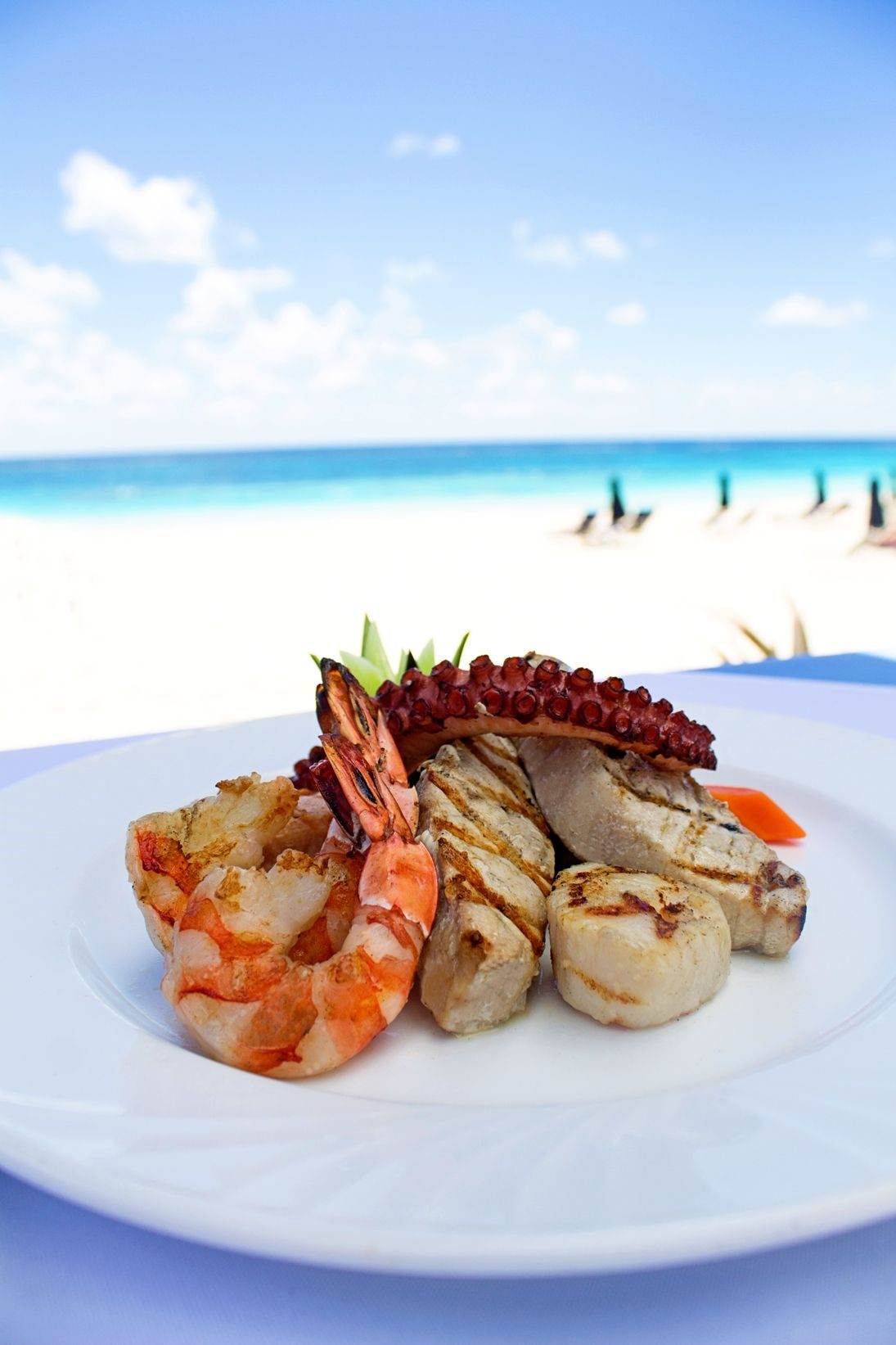 Fresh seafood at Port Elysium