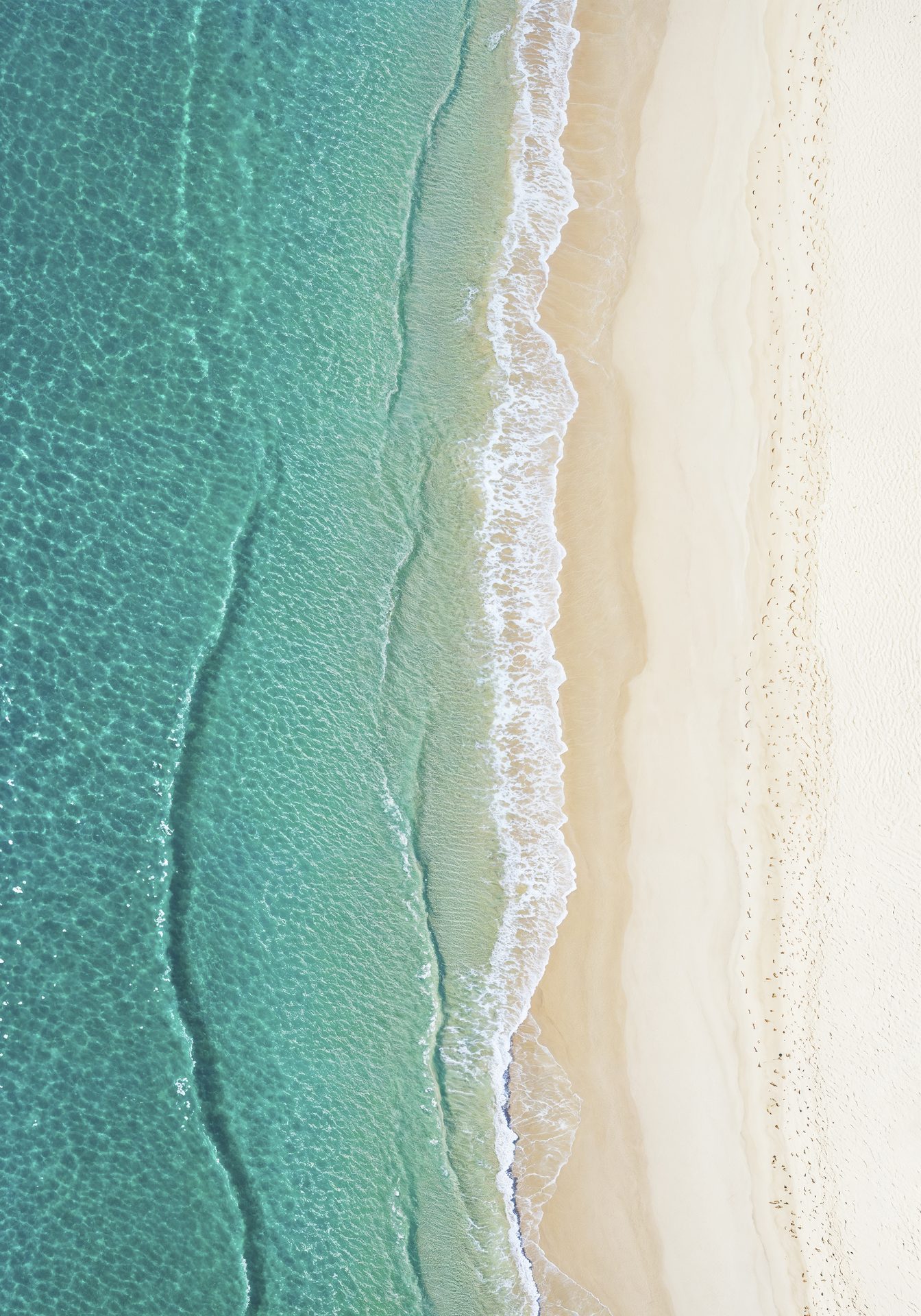 Pristine Bahamian coastline